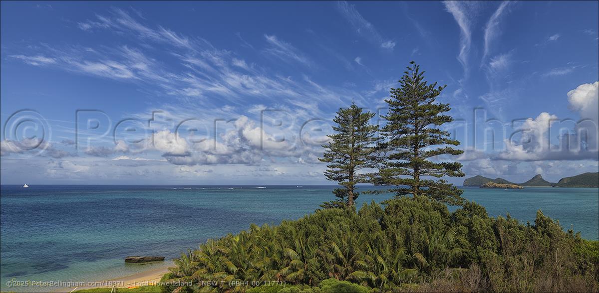 Peter Bellingham Photography Lord Howe Island - NSW T (PBH4 00 11771)